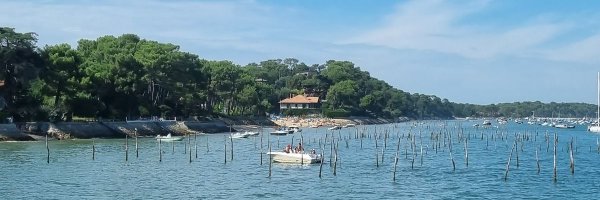 NyaPou Profile Banner