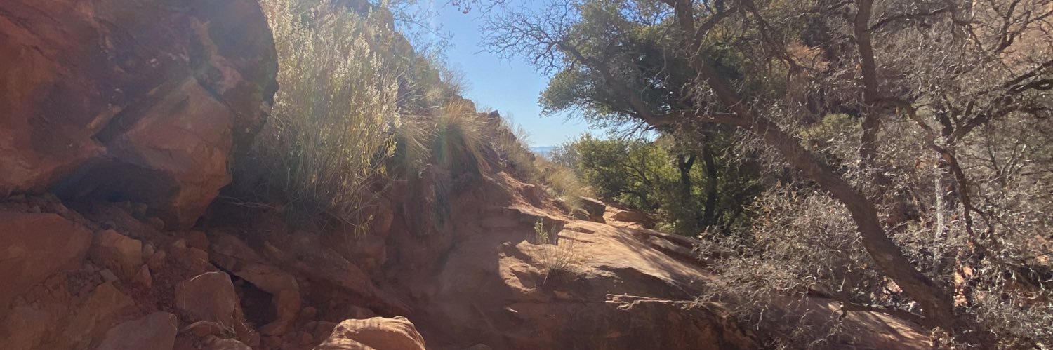 ashlyn_vant's profile banner image
