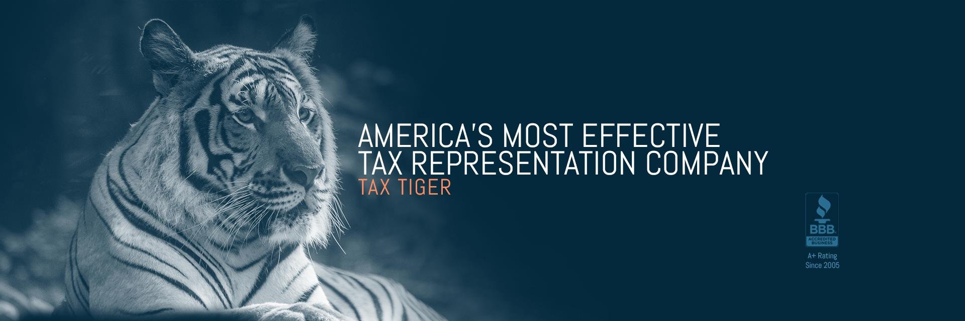 TaxTiger's profile banner image