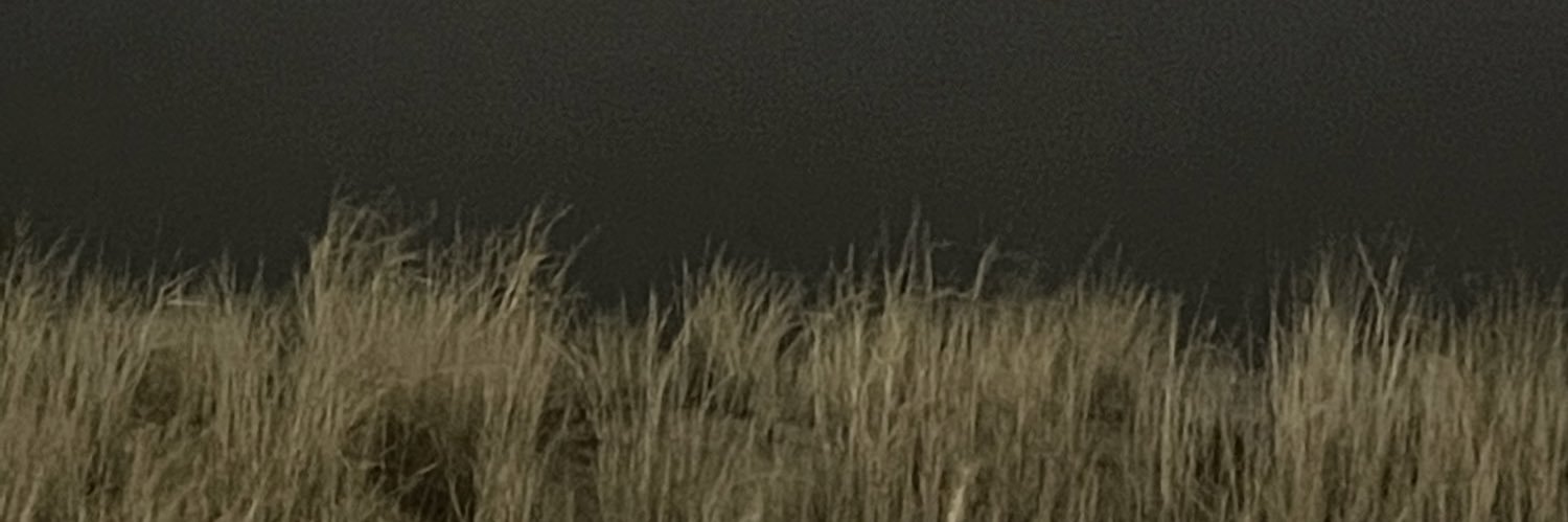 Screaming into the void 🇺🇸 banner