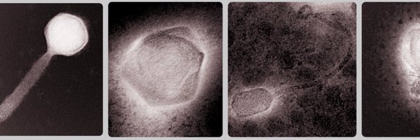 simroux_virus Profile Banner