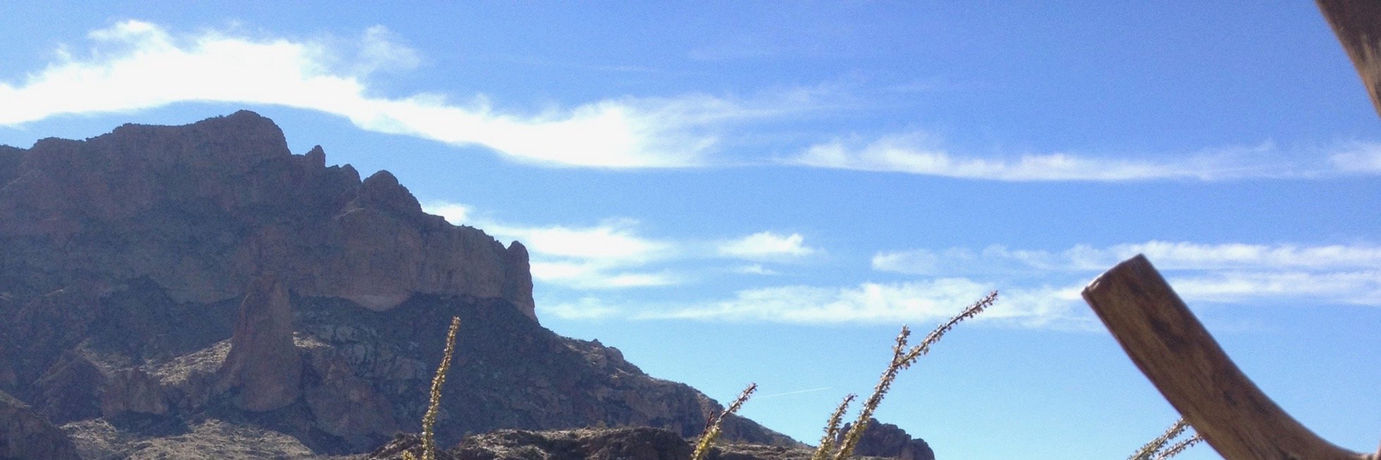 Chris Sandvick banner