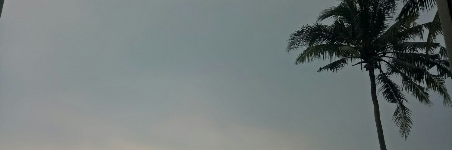 jitsusu's profile banner image