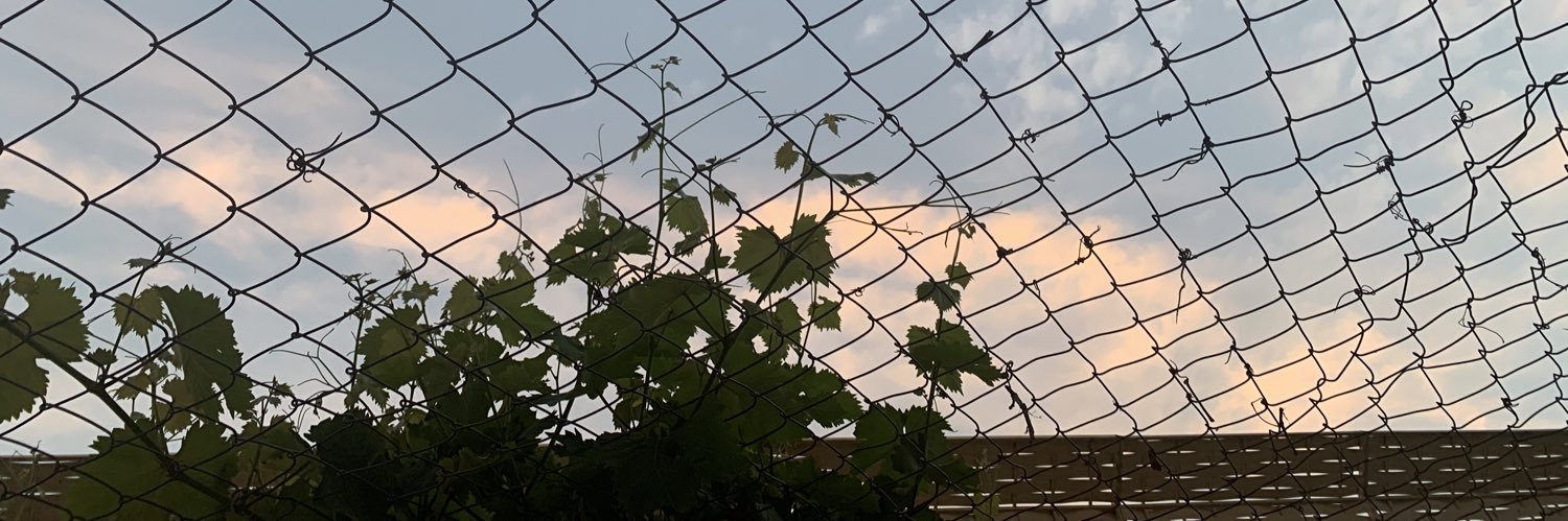 Weedmmg's profile banner image
