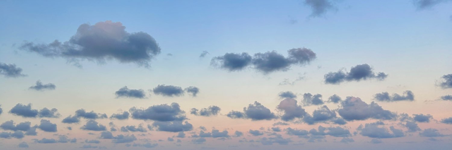 manucarvb's profile banner image