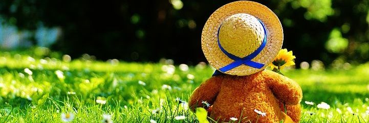 Bella. NO DMs banner