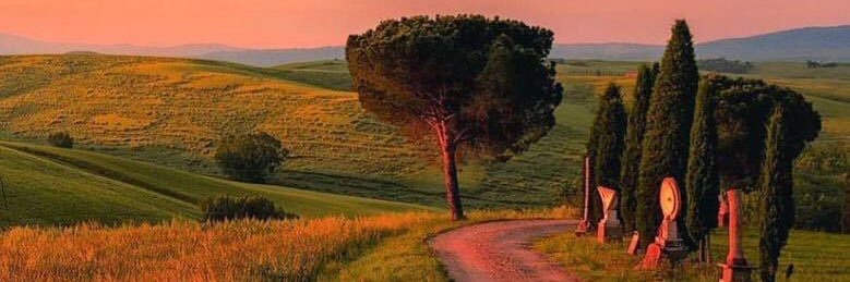 Corsican Trader banner