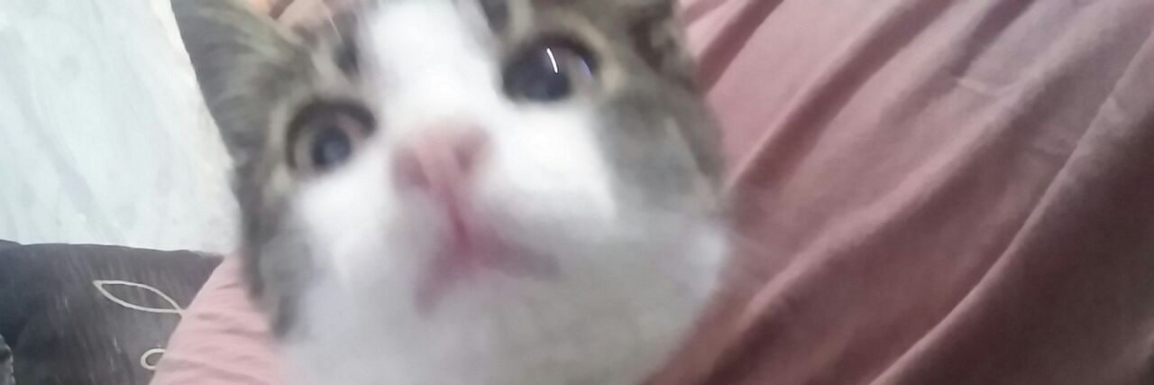 tanersevinc's profile banner image