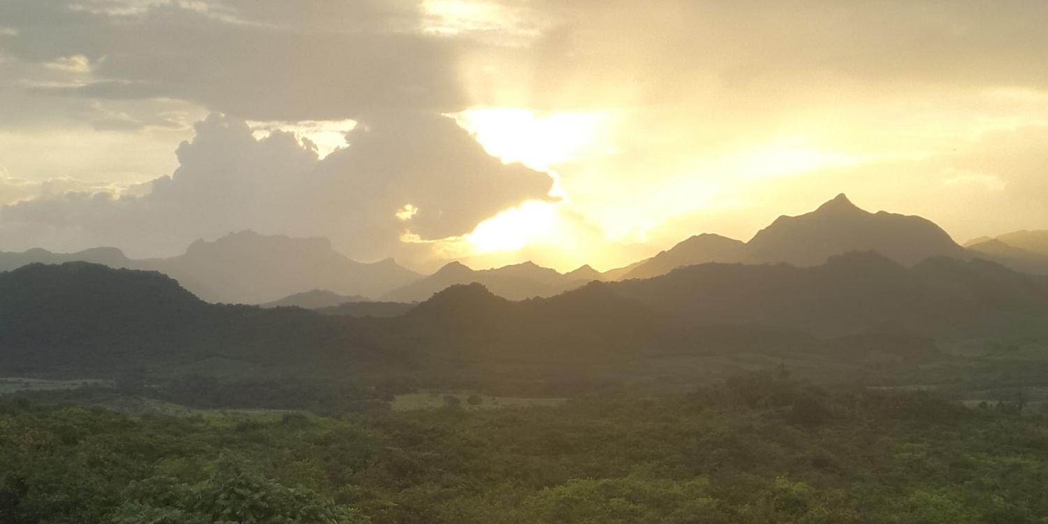 arjonar66's profile banner image