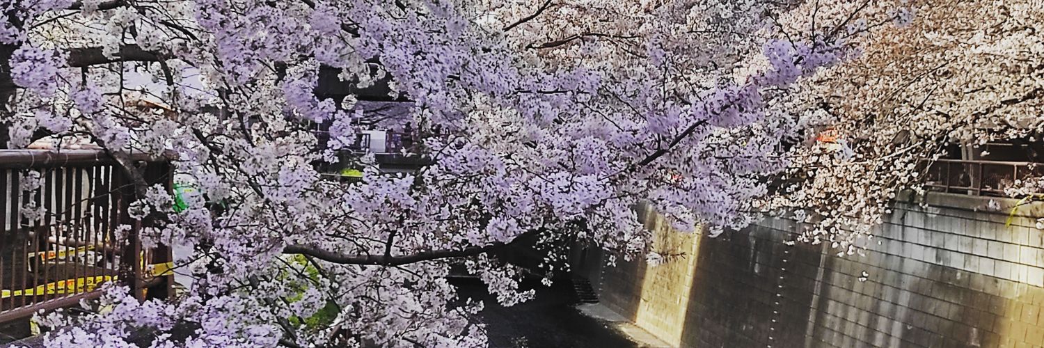 MathieuRoyet's profile banner image