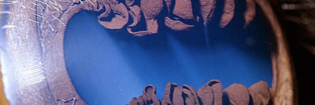 Willy_manilly's profile banner image