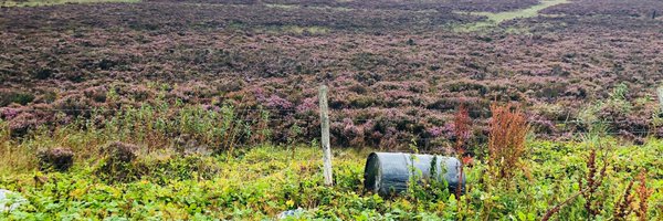 AsmaBaig296 Profile Banner