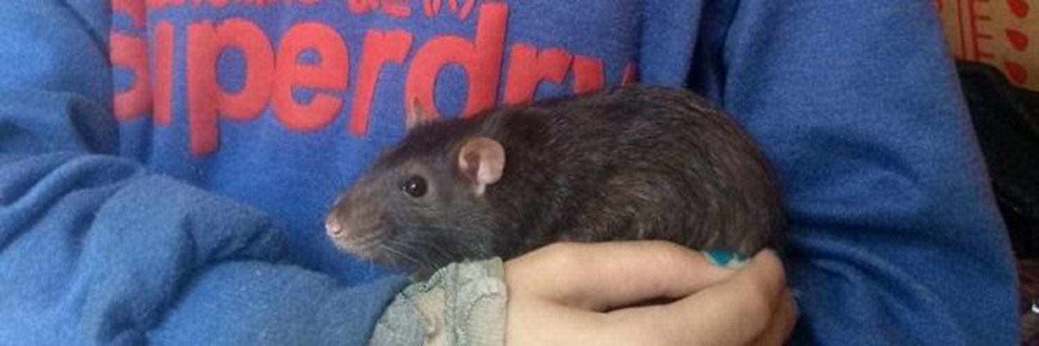 Cameras flashing in my eyes 🌒🎼 (DevotedKiddib) Twitter