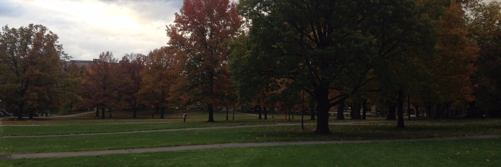 Natalie Letsa banner