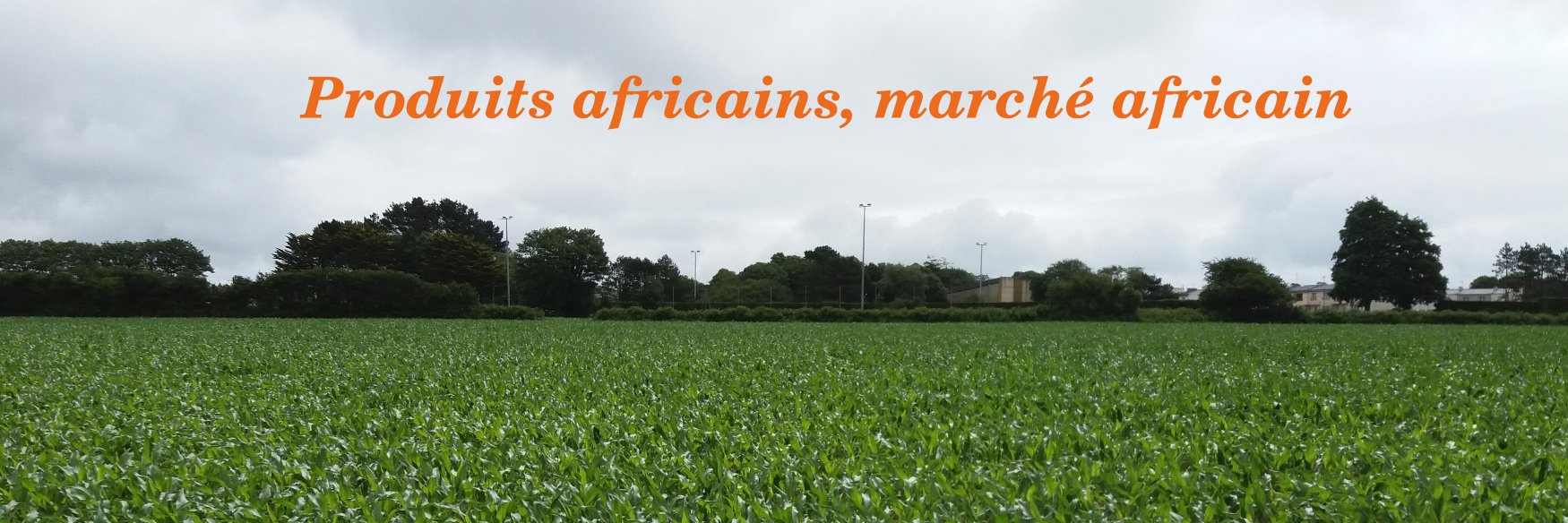 agriyaar's profile banner image