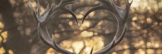 KennaReina's profile banner image
