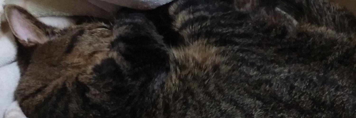 _mggrn's profile banner image