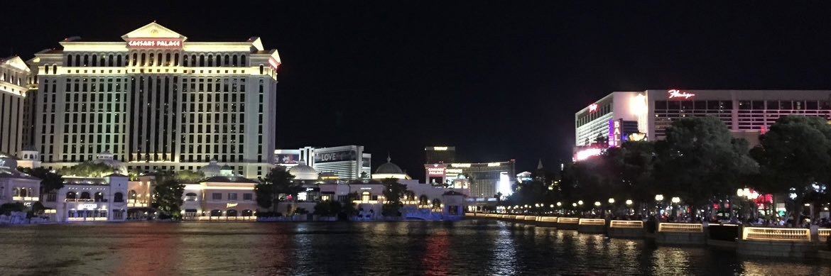 Max Anthony Smith banner