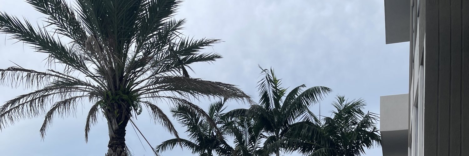 aminaaking's profile banner image