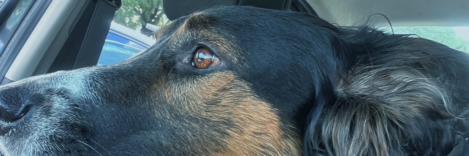 Emitabaez's profile banner image