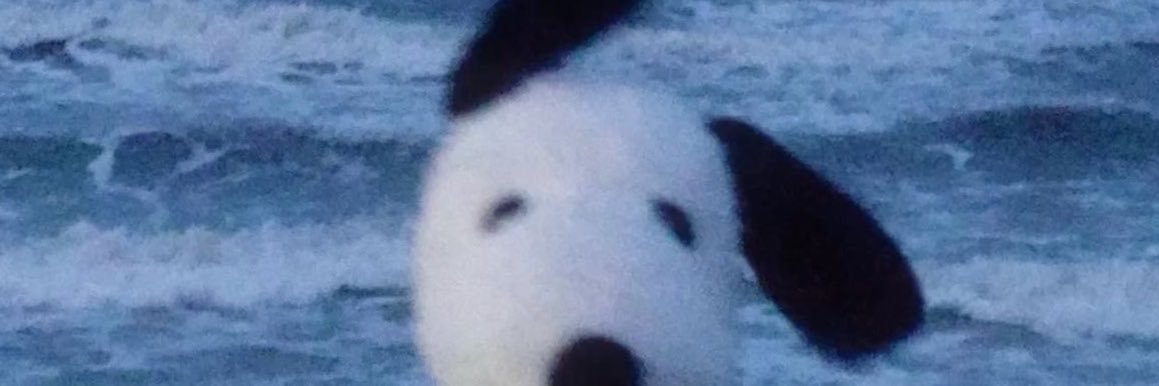 blooo_roo's profile banner image