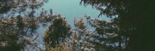 SofiRiom's profile banner image