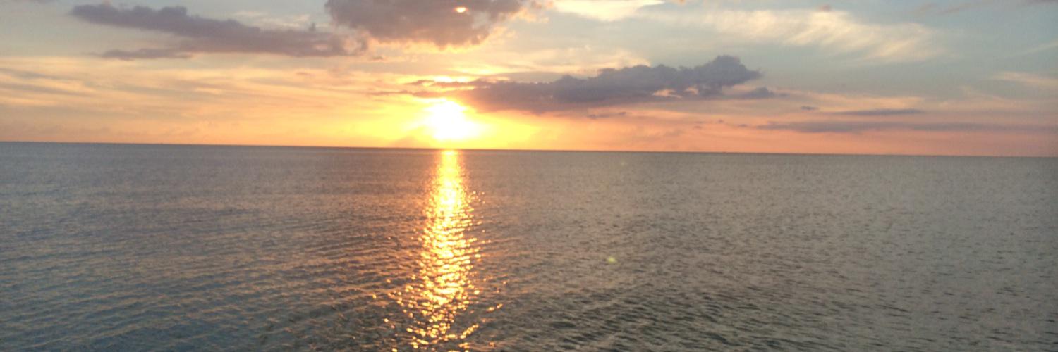 MrsStemen's profile banner image
