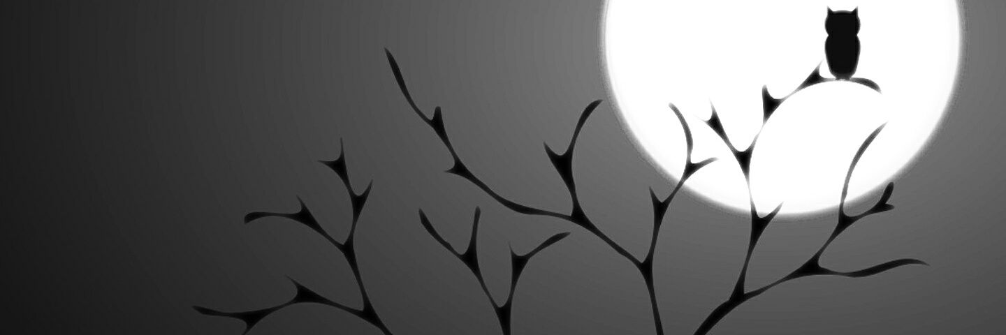 lomeliy's profile banner image