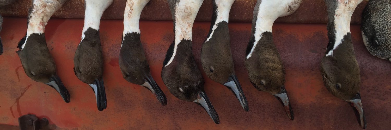 2RiversHunt's profile banner image