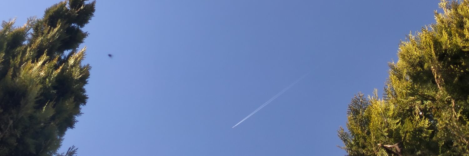 Av. Embiya DOĞAN banner