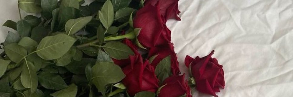 tmtm_bq's profile banner image