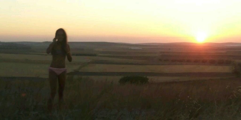 virginiaferrus's profile banner image