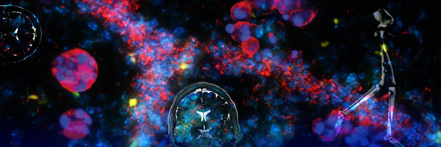 Biomedical Engineering @ UDEL banner