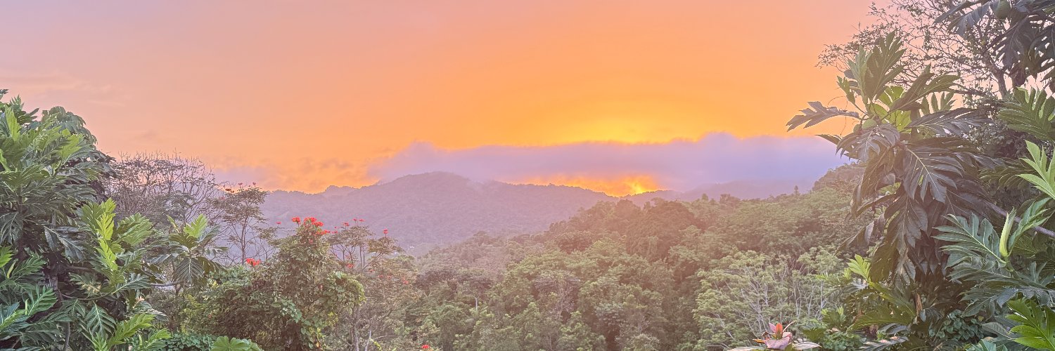 ava.phoenix banner