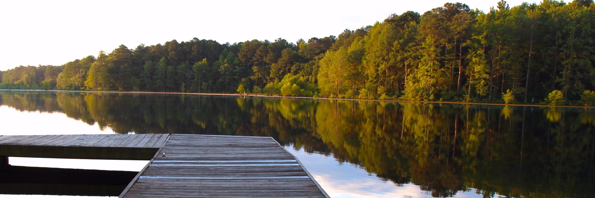 Richmond Observer banner