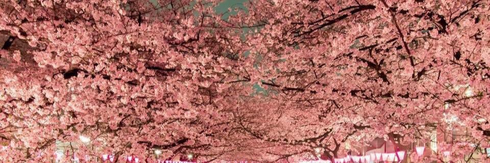BEATthatFACE's profile banner image