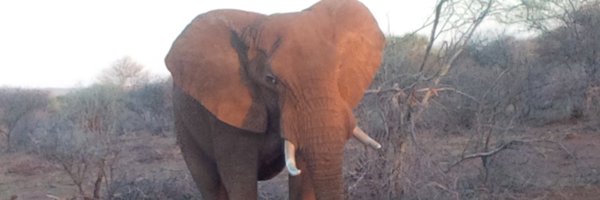 ConservJean Profile Banner