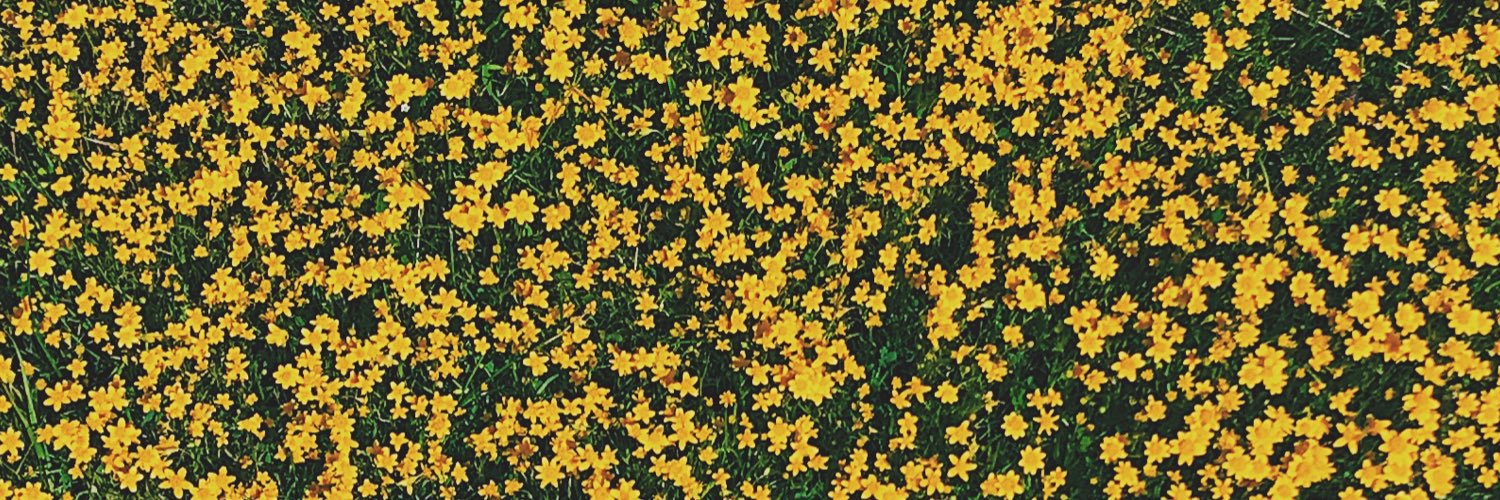 Alex_rojass's profile banner image