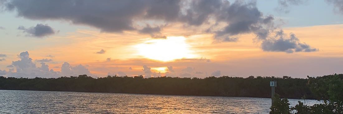 Peyton Nierzwicki banner