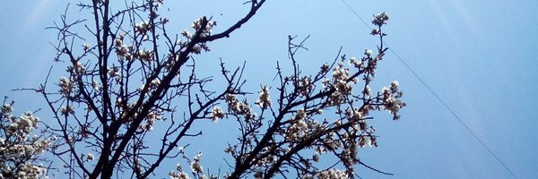 MahieAbhayeAzad Profile Banner