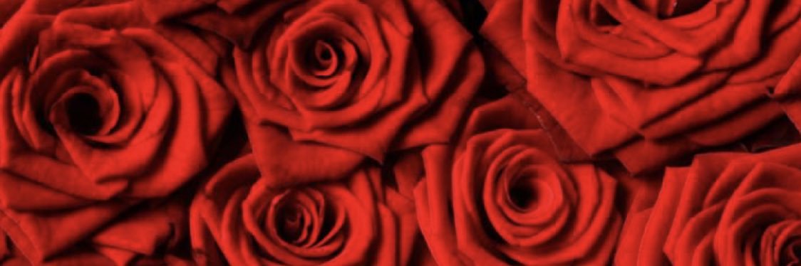 TashaMichaud's profile banner image