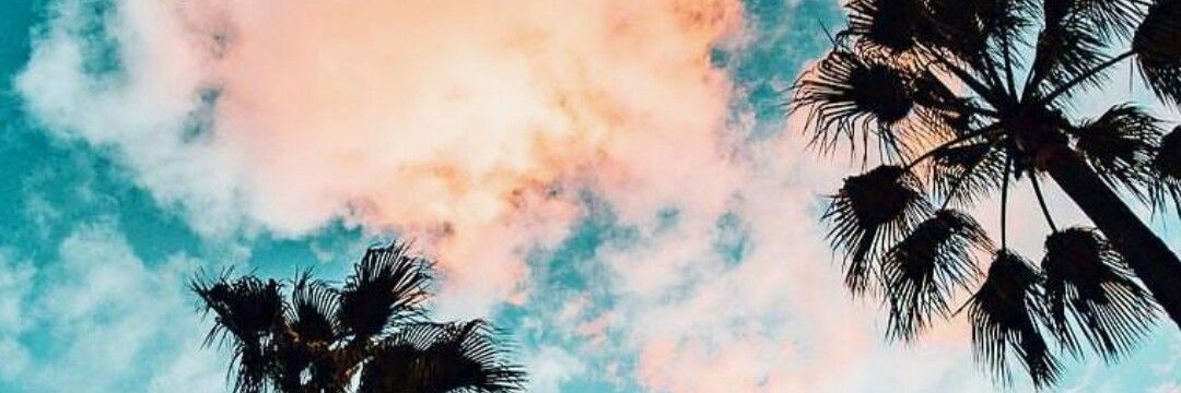 FlorDuran's profile banner image