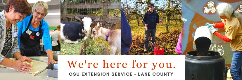 OSU Extension: Lane banner