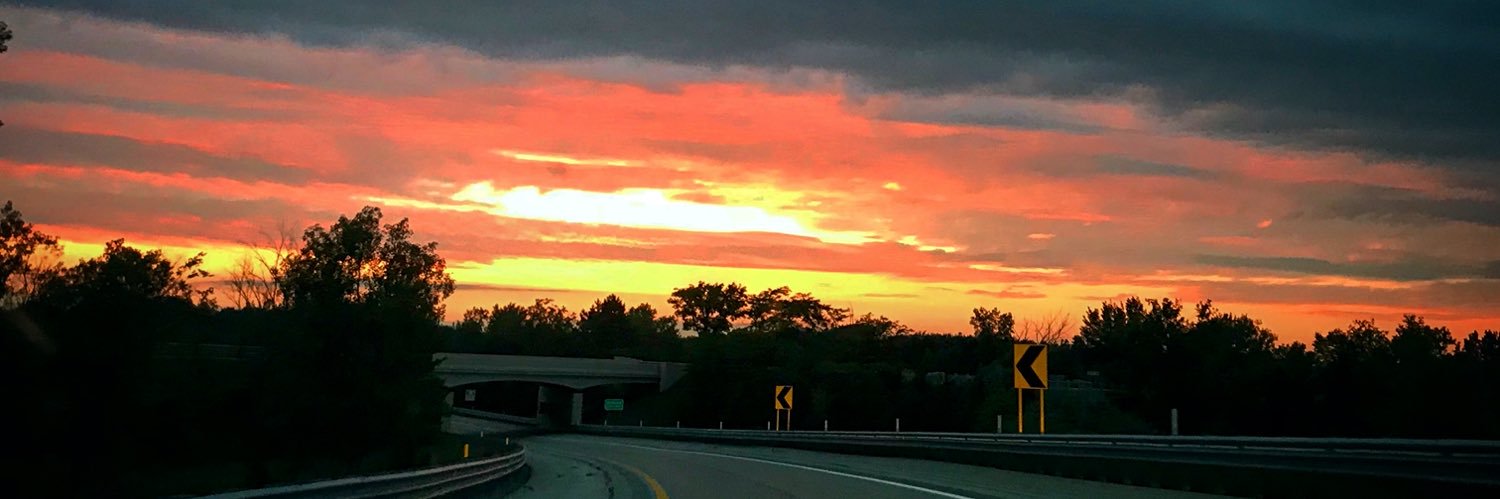 redbud_93's profile banner image