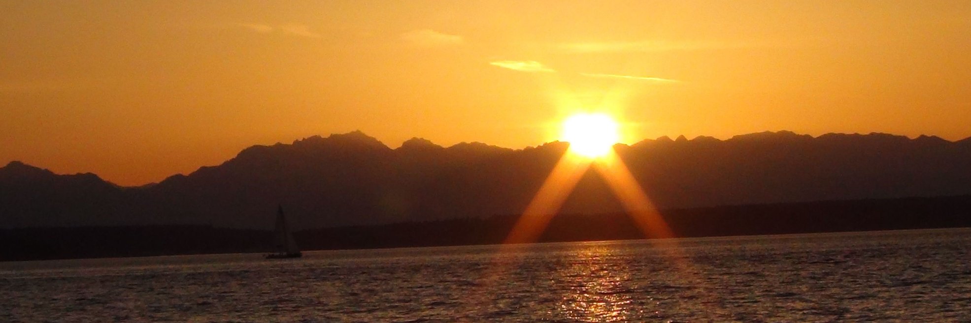 Jess Sunny 則 席 banner