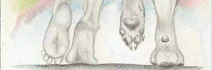 claudskies's profile banner image