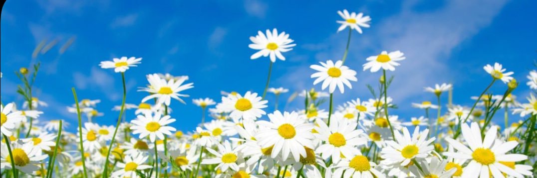 Dimple_Darling's profile banner image