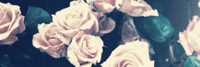 kerryreyes94's profile banner image