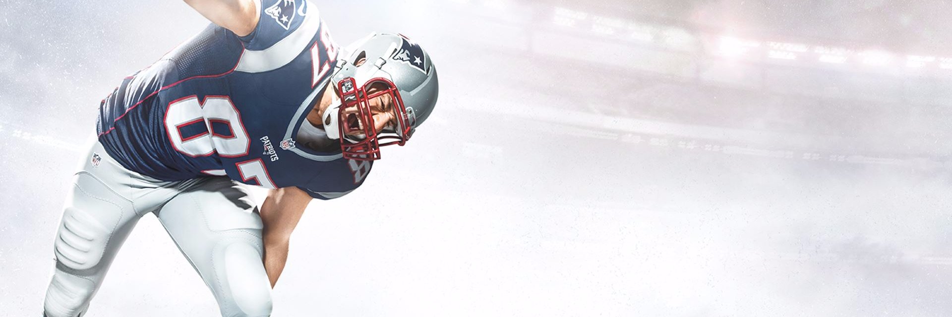 Pro Football Spot banner