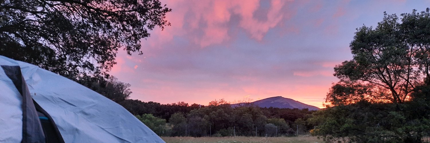 lauralejitos's profile banner image